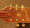 Harmony H75 Sunburst